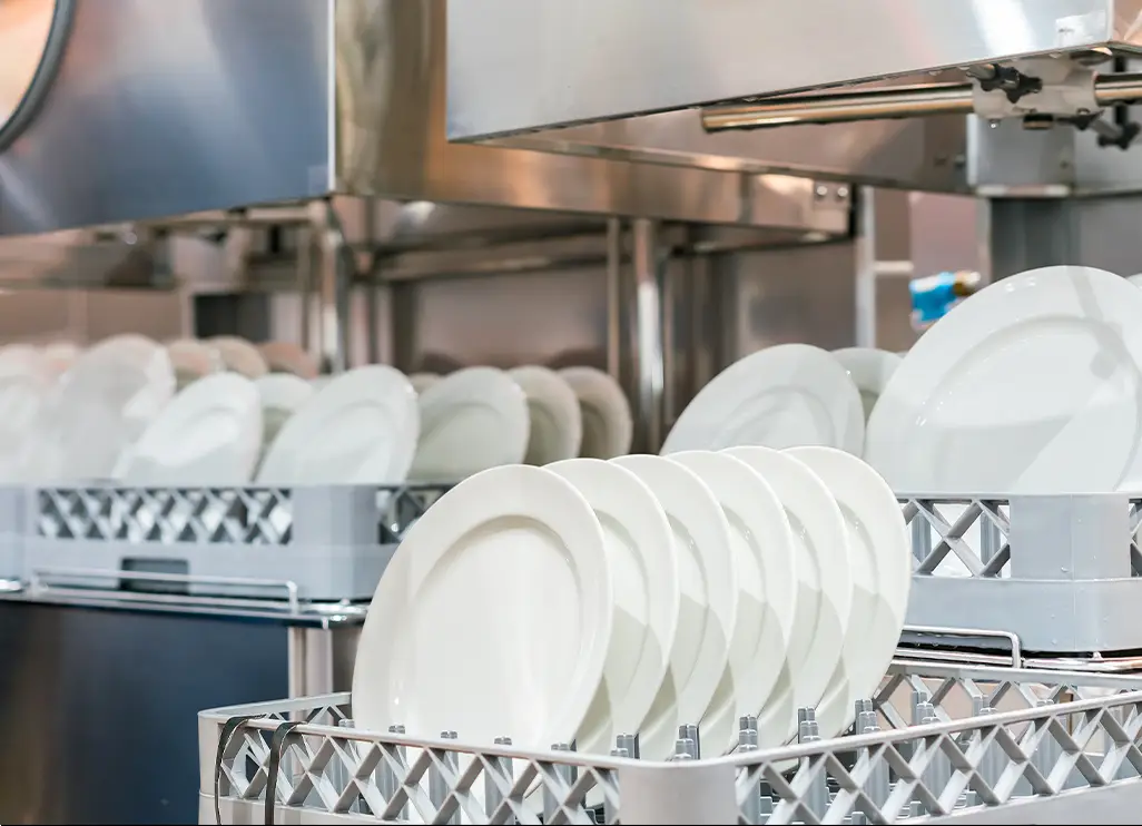 Best Professional Dishwasher Troubleshooting Near Me 2024